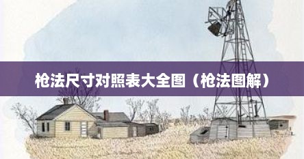 枪法尺寸对照表大全图（枪法图解）