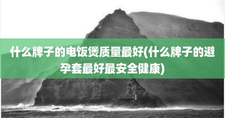 什么牌子的电饭煲质量最好(什么牌子的避孕套最好最安全健康)