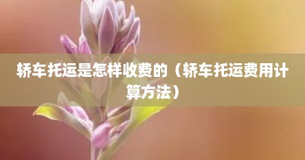 轿车托运是怎样收费的（轿车托运费用计算方法）