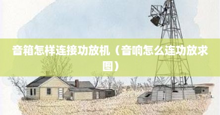 音箱怎样连接功放机（音响怎么连功放求图）