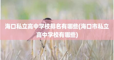 海口私立高中学校排名有哪些(海口市私立高中学校有哪些)