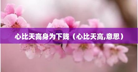 红楼梦心比天高身为下贱指的是谁（心比天高身为下贱是红楼梦中的谁）