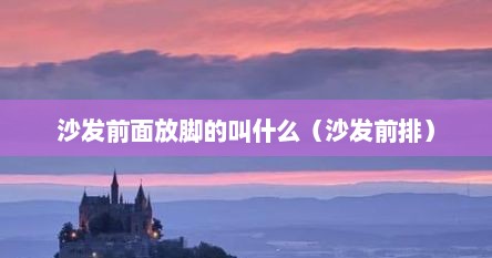 沙发前面放脚的叫什么（沙发前排）