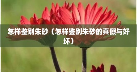 怎样鉴别朱砂（怎样鉴别朱砂的真假与好坏）
