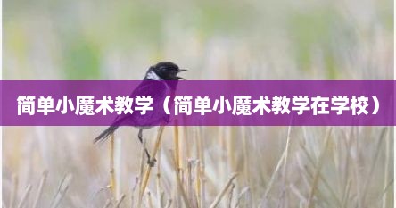 简单小魔术教学（简单小魔术教学在学校）
