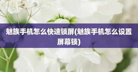 魅族手机怎么快速锁屏(魅族手机怎么设置屏幕锁)