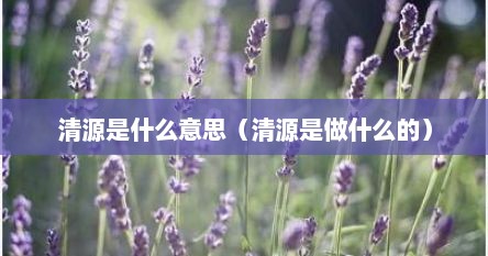 清源是什么意思（清源是做什么的）