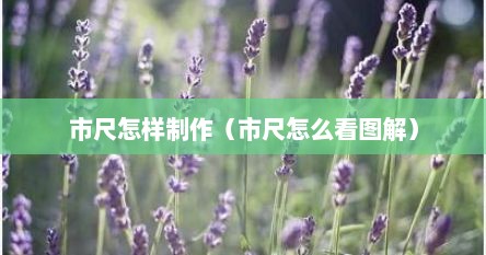 市尺怎样制作（市尺怎么看图解）