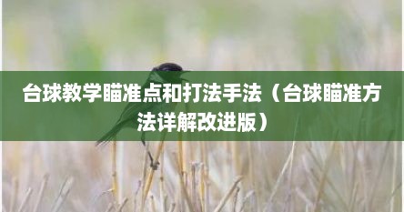台球教学瞄准点和打法手法（台球瞄准方法详解改进版）