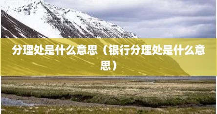分理处是什么意思（银行分理处是什么意思）
