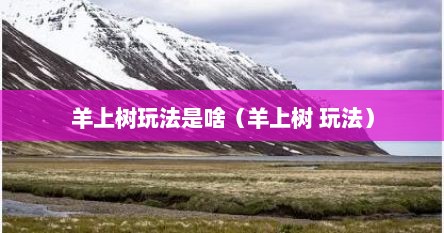 羊上树玩法是啥（羊上树 玩法）