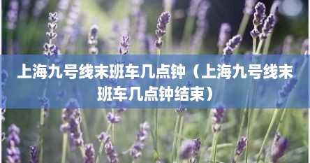 上海九号线末班车几点钟（上海九号线末班车几点钟结束）