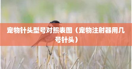 宠物专用注射器（宠物针管一般在哪里买）