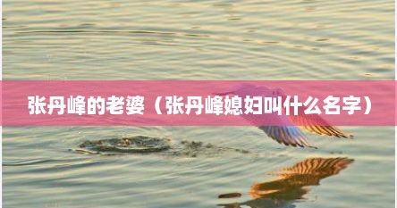 张丹峰的老婆洪欣(张丹峰老婆的个人资料) 张丹峰的老婆洪欣(张丹峰老婆的个人资料)