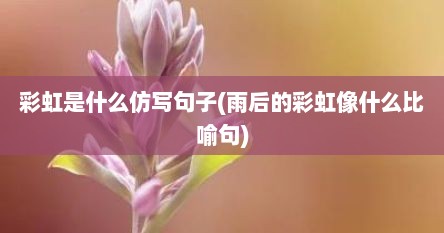 彩虹是什么仿写句子(雨后的彩虹像什么比喻句)