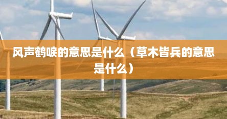 风声鹤唳的意思是什么（草木皆兵的意思是什么）