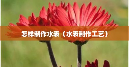 怎样制作水表（水表制作工艺）