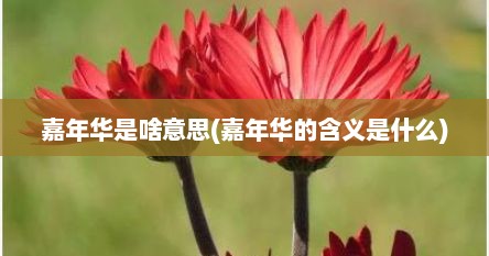 嘉年华是啥意思(嘉年华的含义是什么)
