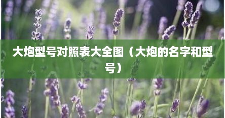 大炮型号对照表大全图（大炮的名字和型号）