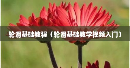 轮滑基础教程（轮滑基础教学视频入门）