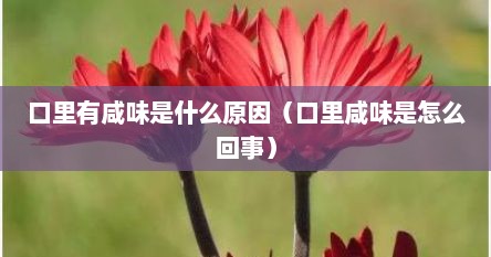口里有咸味是什么原因（口里咸味是怎么回事）