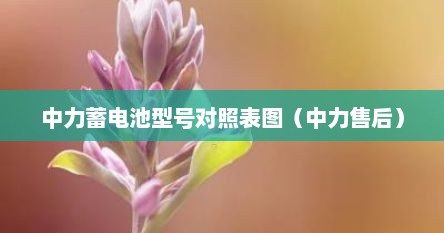 中力蓄电池型号对照表图（中力售后）