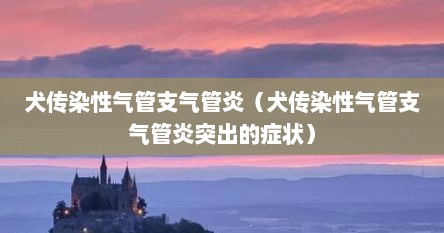 犬传染性气管支气管炎（犬传染性气管支气管炎突出的症状）