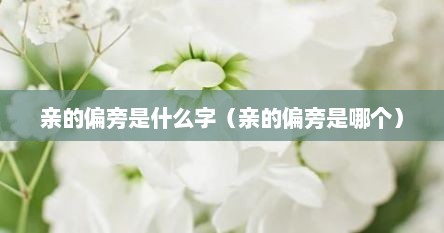 亲的偏旁和读音（亲的偏旁部首读作什么）