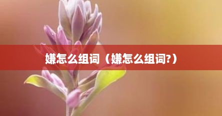 嫌怎么组词（嫌怎么组词?）
