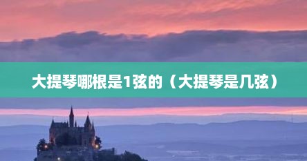 大提琴哪根是1弦的（大提琴是几弦）