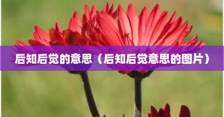 后知后觉的意思（后知后觉意思的图片）