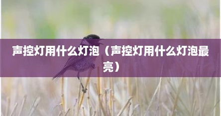 声控灯用什么灯泡（声控灯用什么灯泡最亮）