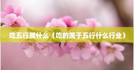 吃五行属什么（吃的属于五行什么行业）
