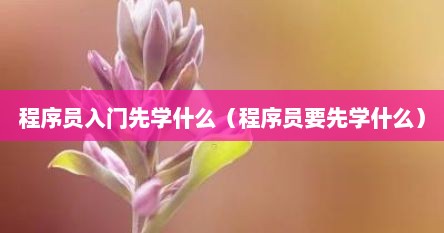 程序员入门先学什么（程序员要先学什么）