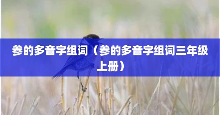 参的多音字组词（参的多音字组词三年级上册）