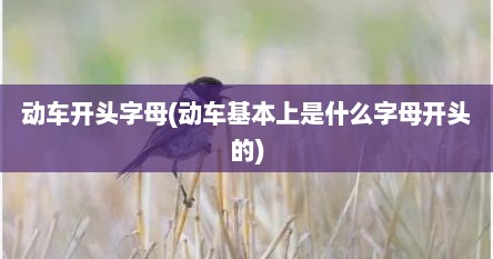 动车开头字母(动车基本上是什么字母开头的)