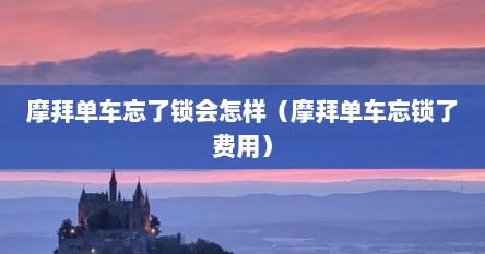 摩拜单车忘了锁会怎样（摩拜单车忘锁了费用）