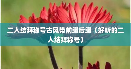 二人结拜有仙气的称号（二人结拜称号大全霸气）