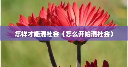 怎样才能混社会（怎么开始混社会）