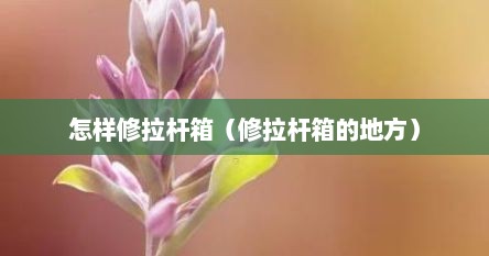 怎样修拉杆箱（修拉杆箱的地方）