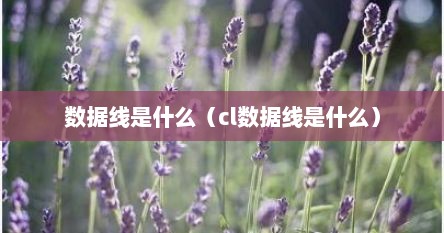 数据线是什么（cl数据线是什么）