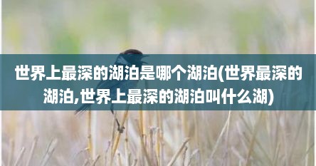 世界上最深的湖泊是哪个湖泊(世界最深的湖泊,世界上最深的湖泊叫什么湖)