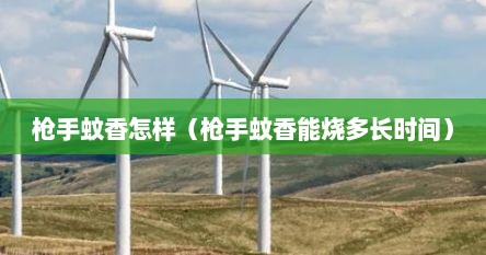 枪手蚊香怎样（枪手蚊香能烧多长时间）