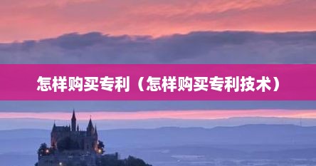 怎样购买专利（怎样购买专利技术）
