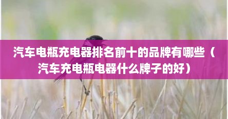 汽车电瓶充电器排名前十的品牌有哪些（汽车充电瓶电器什么牌子的好）