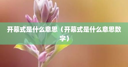 开幕式是什么意思（开幕式是什么意思数字）