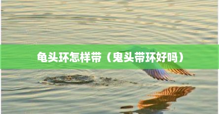龟头环怎样带（鬼头带环好吗）