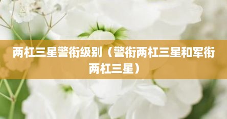 两杠三星警衔级别(警衔两杠三星和军衔两杠三星)