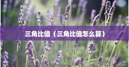 三角比值（三角比值怎么算）