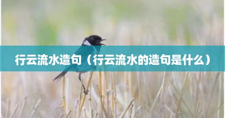 行云流水造句（行云流水的造句是什么）